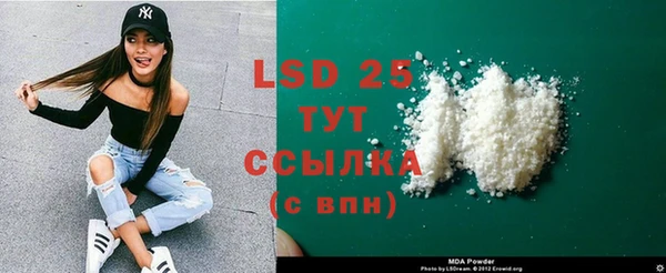 ГАЛЛЮЦИНОГЕННЫЕ ГРИБЫ Корсаков