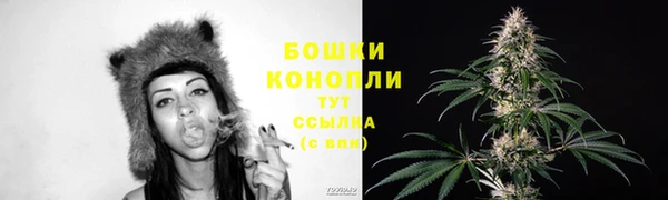 ГАЛЛЮЦИНОГЕННЫЕ ГРИБЫ Корсаков