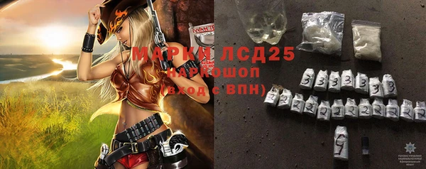 ГАЛЛЮЦИНОГЕННЫЕ ГРИБЫ Корсаков