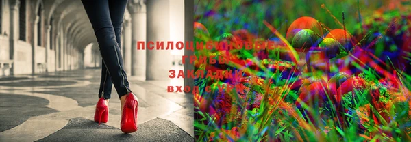 ГАЛЛЮЦИНОГЕННЫЕ ГРИБЫ Корсаков