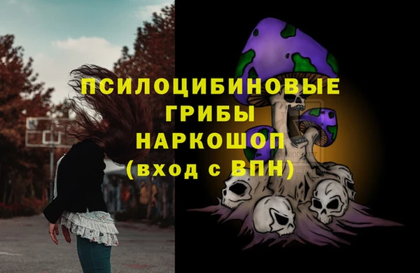 ГАЛЛЮЦИНОГЕННЫЕ ГРИБЫ Корсаков