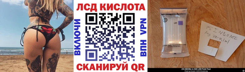 Купить  Губкин  Марки NBOMe 1,8мг 