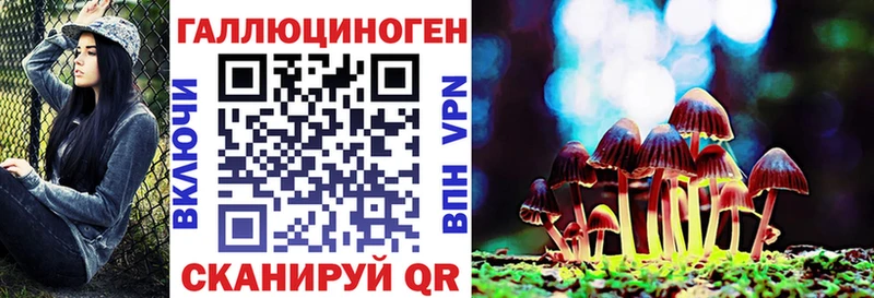 Купить где  Губкин  Псилоцибиновые грибы прущие грибы 
